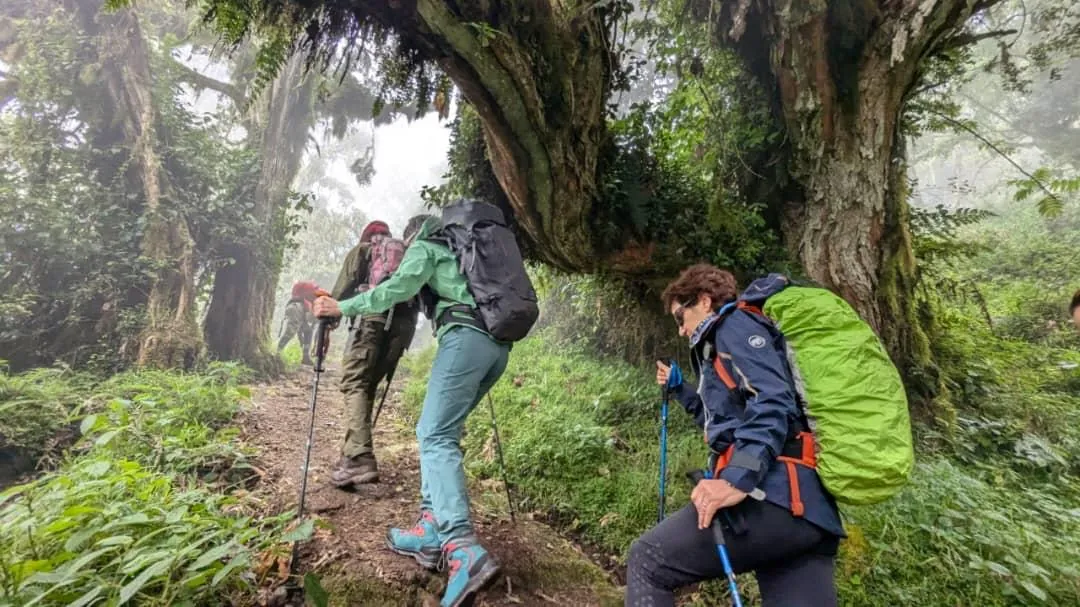 Mount Kilimanjaro trekking landscape